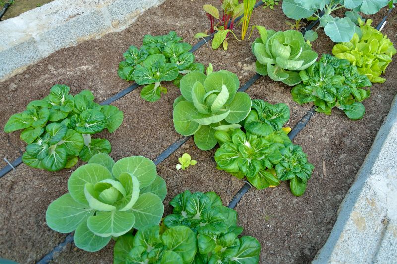 Early Spring Installations